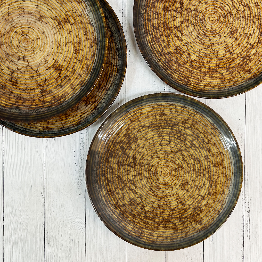 Rustic roots dinner plates set Of 4