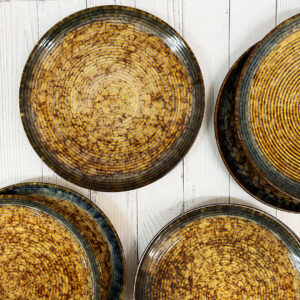 Rustic roots dinner plates set Of 6